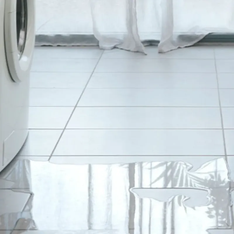 Appliance Leak Cleanup in Lea Hill, WA