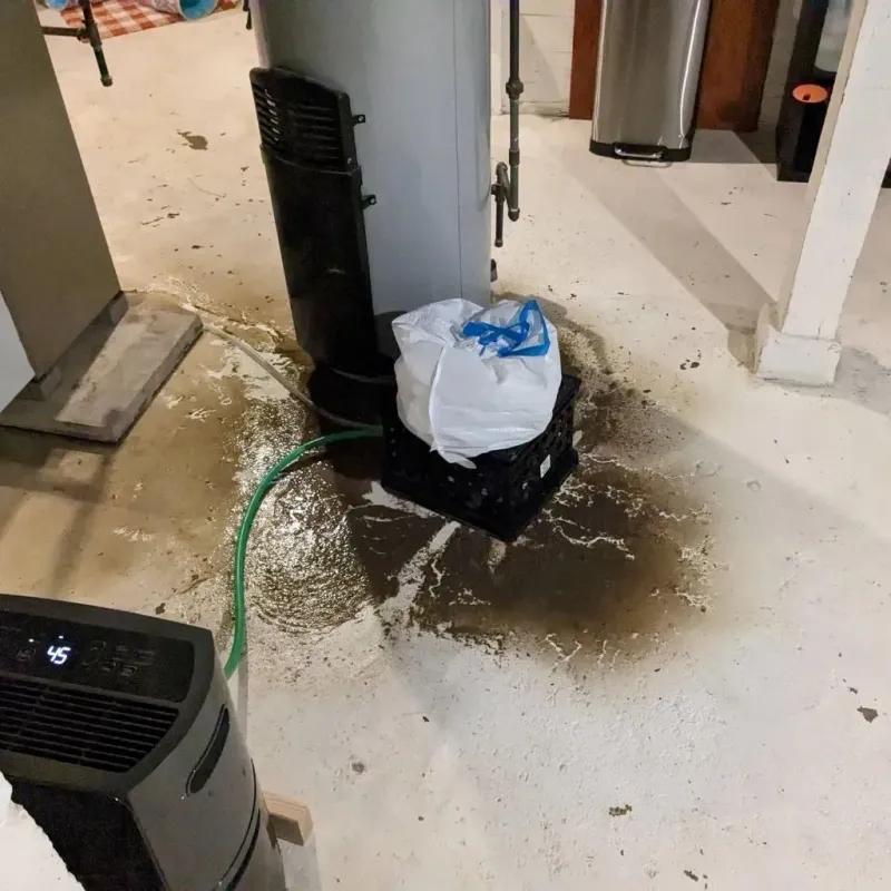 Sewage Backup Cleanup Service in Lea Hill, WA